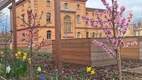 Hochbeet mit Frühblüherblumen im Vordergrund und einem braunen Backsteingebäude der TH dahinter