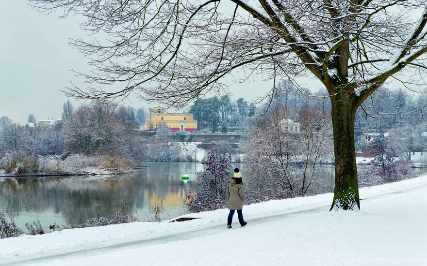 Person läuft auf schneebedecktem Weg am Main auf einen Baum zu, im Hintergrund das Pompejanum