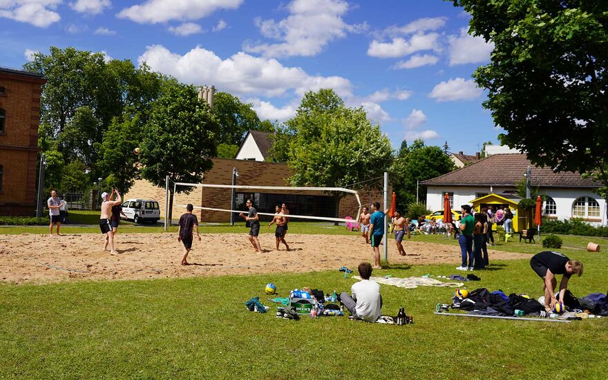Studierende spielen Volleyball auf dem Volleyballfeld der TH Aschaffenburg.