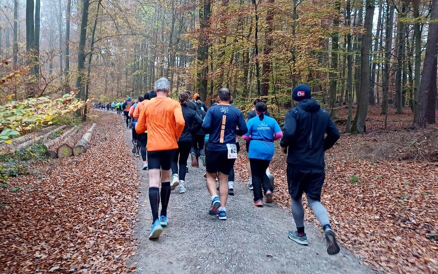 Eine Gruppe von Läuferinnen und Läufern beim Joggen durch den Wald von hinten