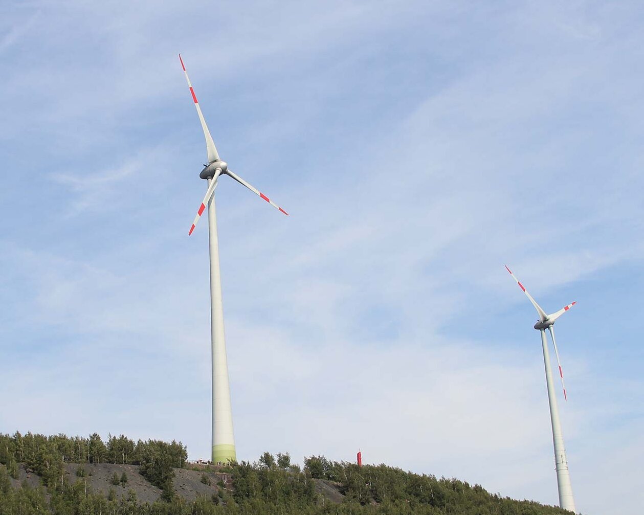 Weiße Windräder stehen zwischen grünen Bäumen vor blauen Himmel.