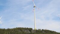 Weiße Windräder stehen zwischen grünen Bäumen vor blauen Himmel.