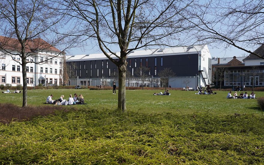 Studierende sitzen vor Gebäude 20 und Gebäude 40 auf der Campuswiese.