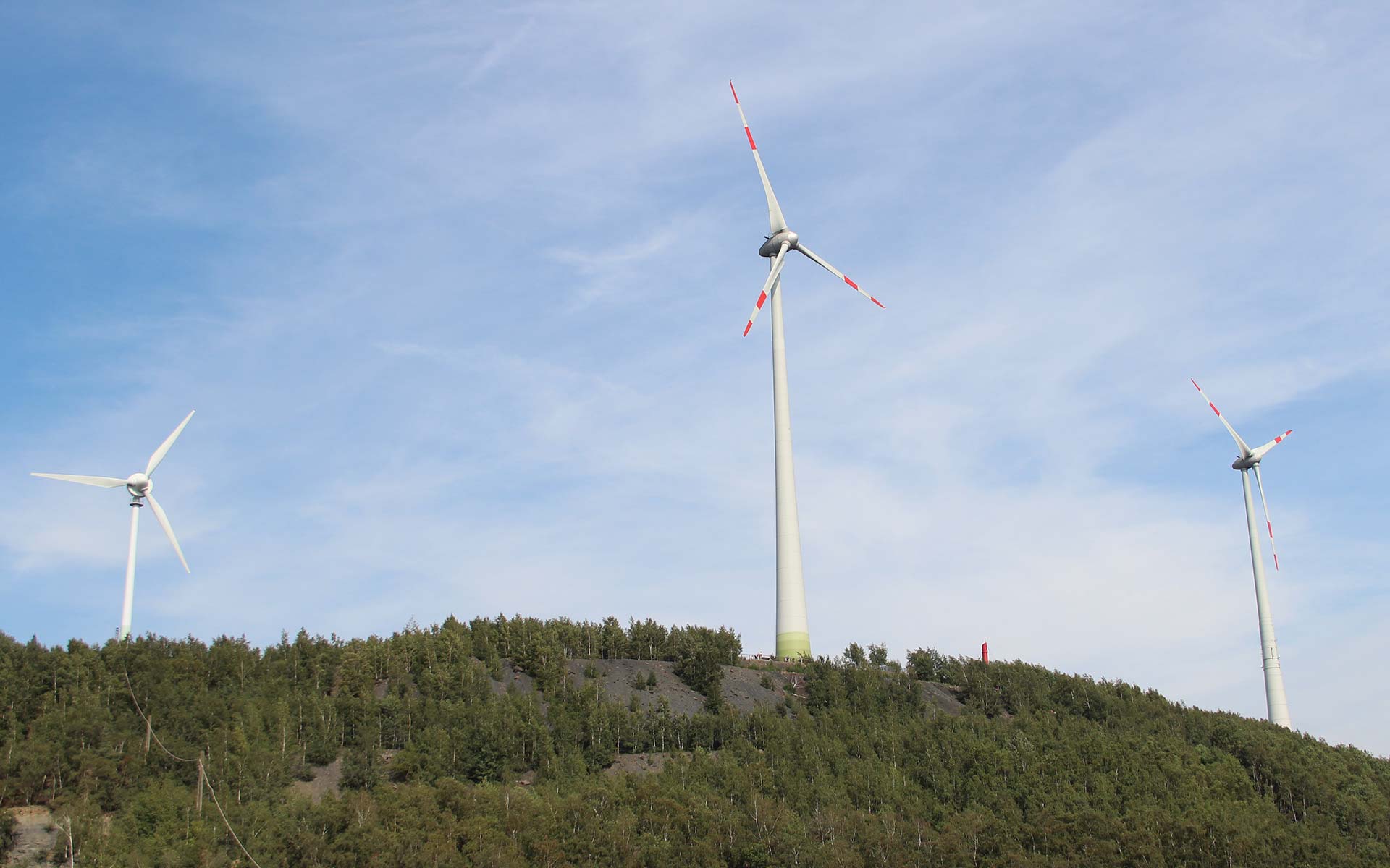 Weiße Windräder stehen zwischen grünen Bäumen vor blauen Himmel.