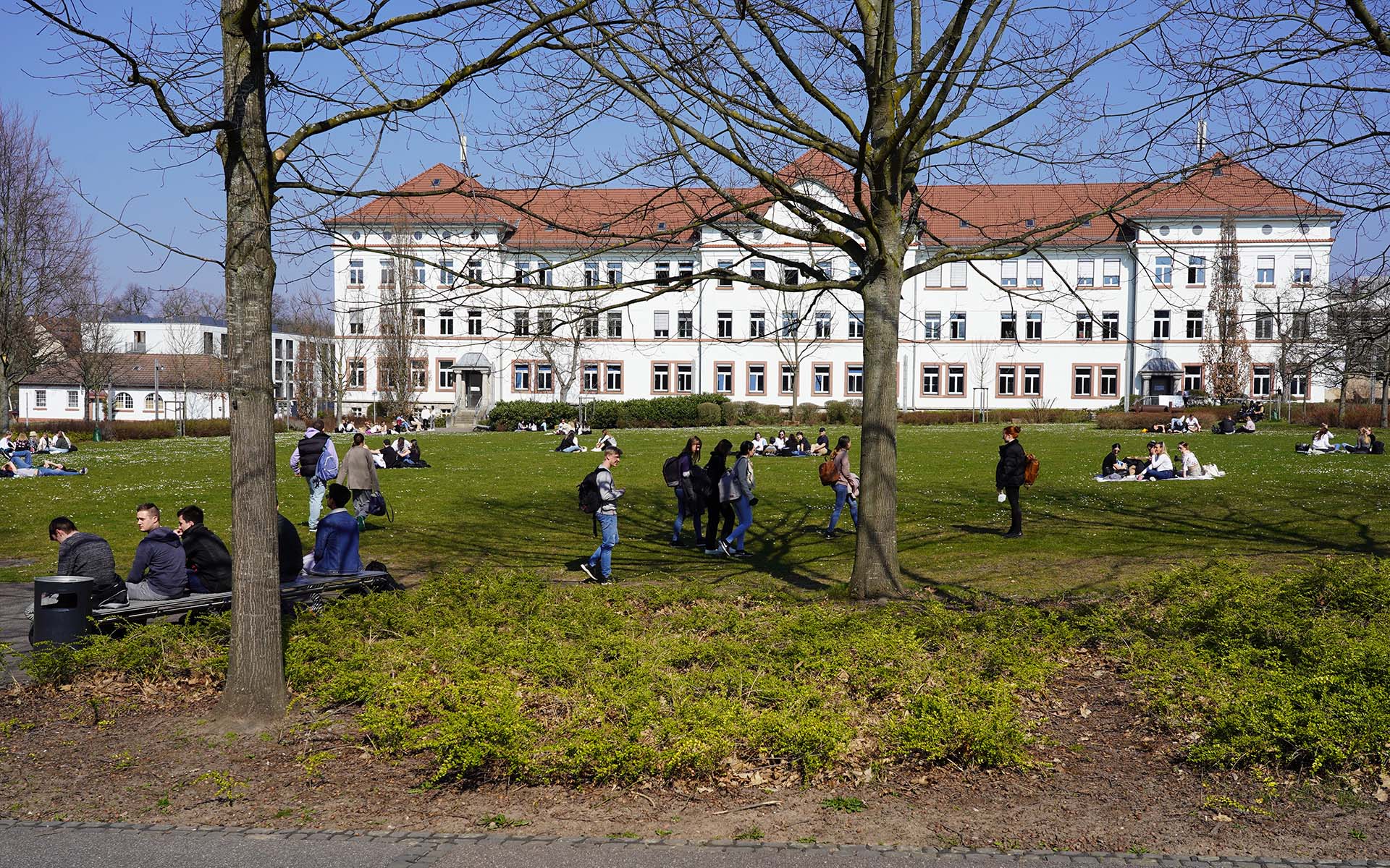 Studierende auf der Campuswiese vor dem Gebäude der Fakultät WR